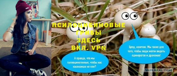 винт Дмитров