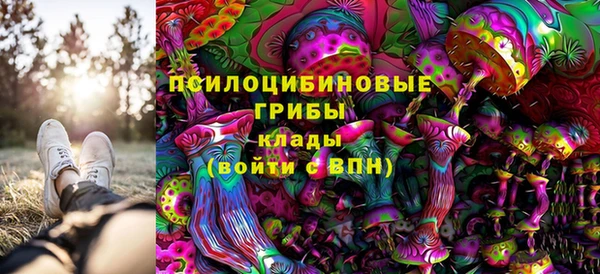 спиды Россошь