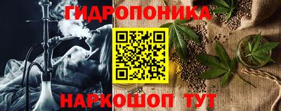 трава Кингисепп