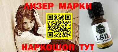 трава Кингисепп