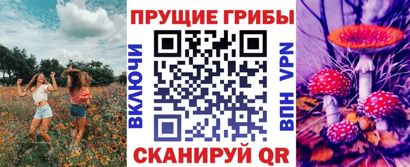 где купить   Реж  Псилоцибиновые грибы мицелий 